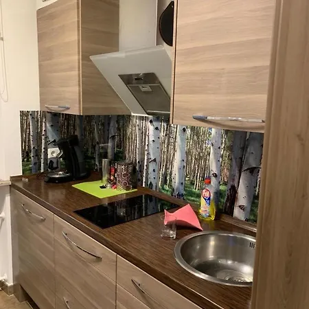Privat bolig Gemuetliches Haus In Riedlingen *